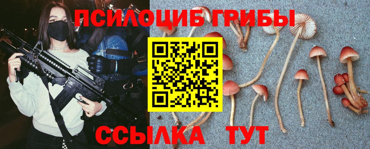 Псилоцибиновые грибы мухоморы Зима
