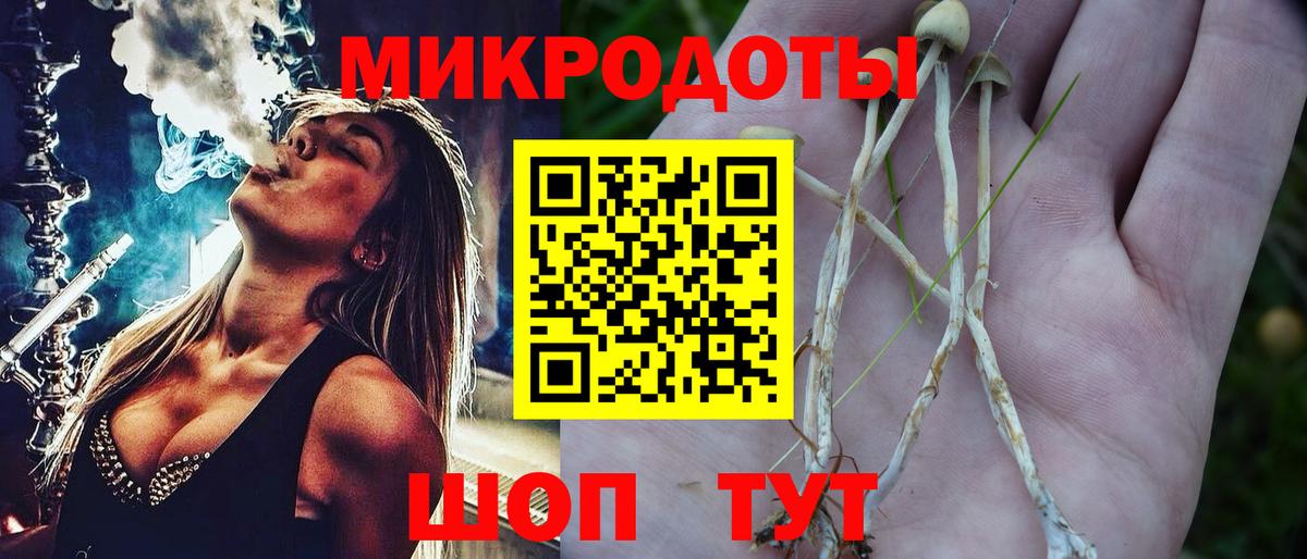 Галлюциногенные грибы MAGIC MUSHROOMS  Псилоцибиновые грибы Magic Shrooms  Зима  Вход с VPN 